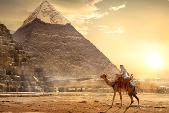 related package photo of Maat